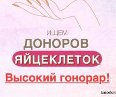 Донорство яйцеклеток — Барселона, оплата сразу