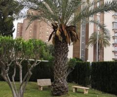 Аренда квартиры в 200 м от пляжа в Dehesa de Campoamor - 5