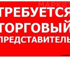 Работа: Торговый представитель в Валенсии