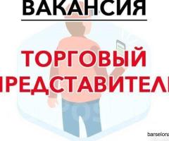 Вакансия: Региональный торговый представитель в Аликанте