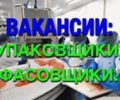 РАБОТА. УБОРЩИК-ФАСОВЩИК