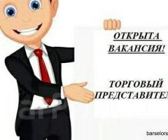 Вакансия: Торговый агент в Мадриде для HQD WAVE - 1